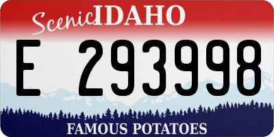 ID license plate E293998