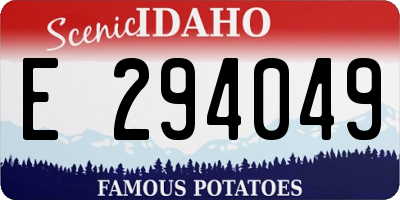 ID license plate E294049