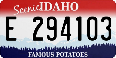 ID license plate E294103