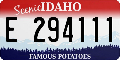 ID license plate E294111