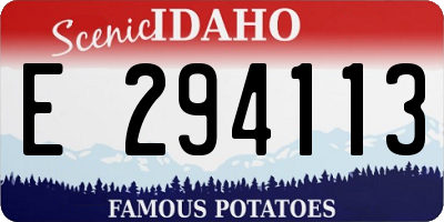 ID license plate E294113