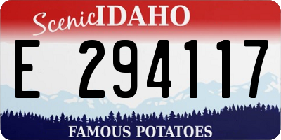 ID license plate E294117
