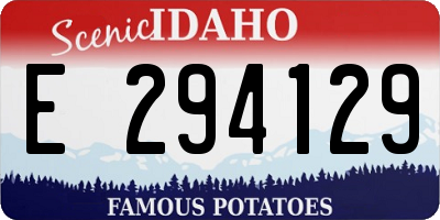 ID license plate E294129