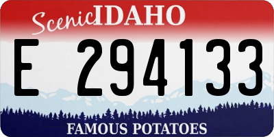 ID license plate E294133