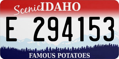 ID license plate E294153