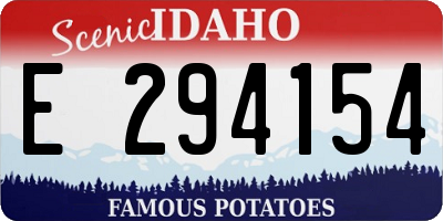 ID license plate E294154