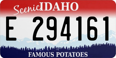 ID license plate E294161