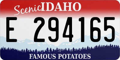 ID license plate E294165