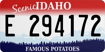 ID license plate E294172