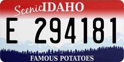 ID license plate E294181
