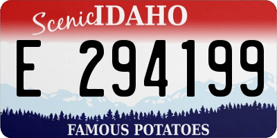 ID license plate E294199