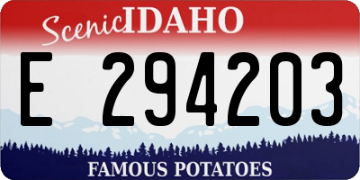 ID license plate E294203