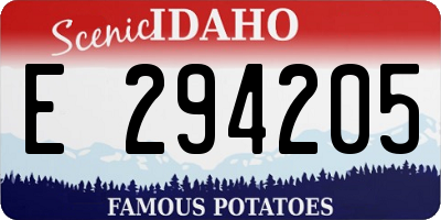 ID license plate E294205