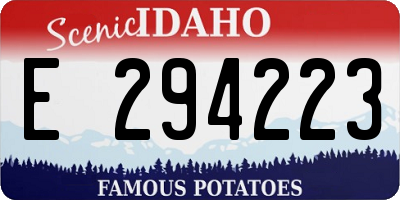 ID license plate E294223
