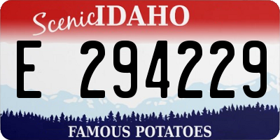 ID license plate E294229