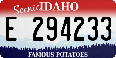 ID license plate E294233