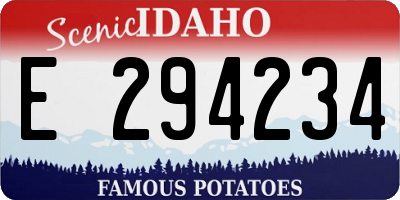 ID license plate E294234