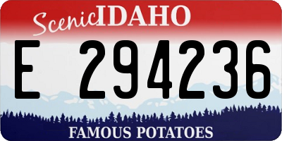 ID license plate E294236