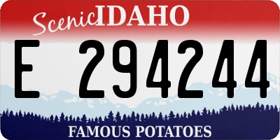 ID license plate E294244
