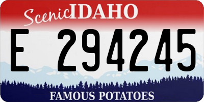 ID license plate E294245