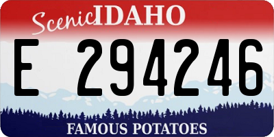 ID license plate E294246