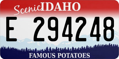 ID license plate E294248