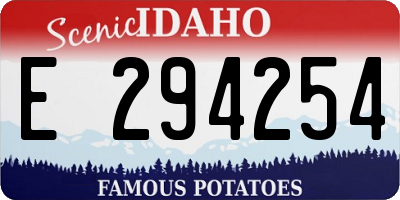 ID license plate E294254