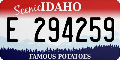 ID license plate E294259