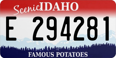 ID license plate E294281