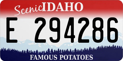 ID license plate E294286