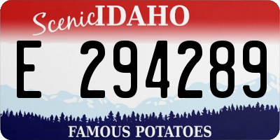 ID license plate E294289