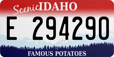ID license plate E294290