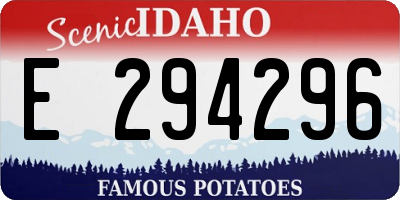 ID license plate E294296
