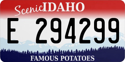 ID license plate E294299