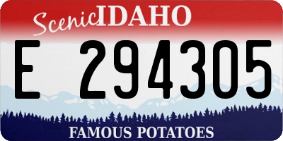 ID license plate E294305