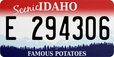 ID license plate E294306