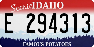 ID license plate E294313