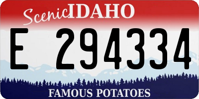 ID license plate E294334
