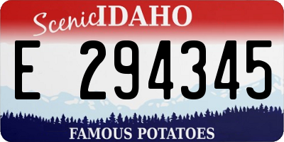 ID license plate E294345