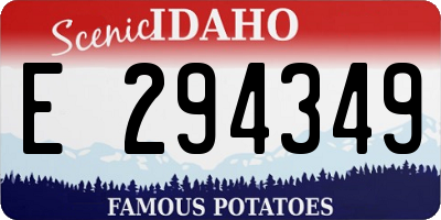 ID license plate E294349