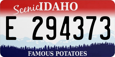 ID license plate E294373