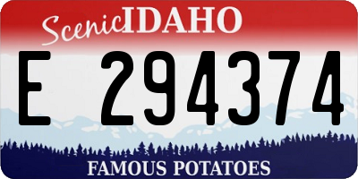 ID license plate E294374