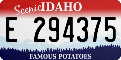 ID license plate E294375