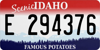 ID license plate E294376