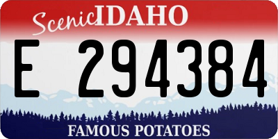 ID license plate E294384