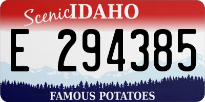 ID license plate E294385