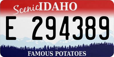 ID license plate E294389