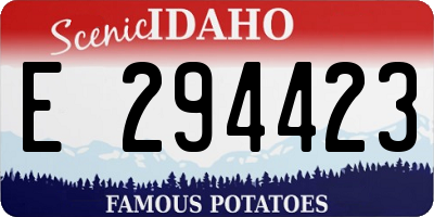 ID license plate E294423