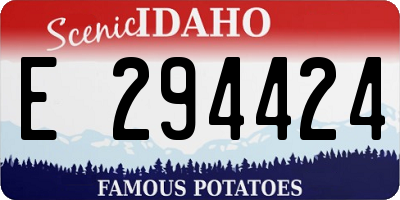 ID license plate E294424