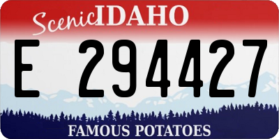 ID license plate E294427